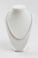 Load image into Gallery viewer, Jenny Bird 20” silver tone necklace &amp; earrings
